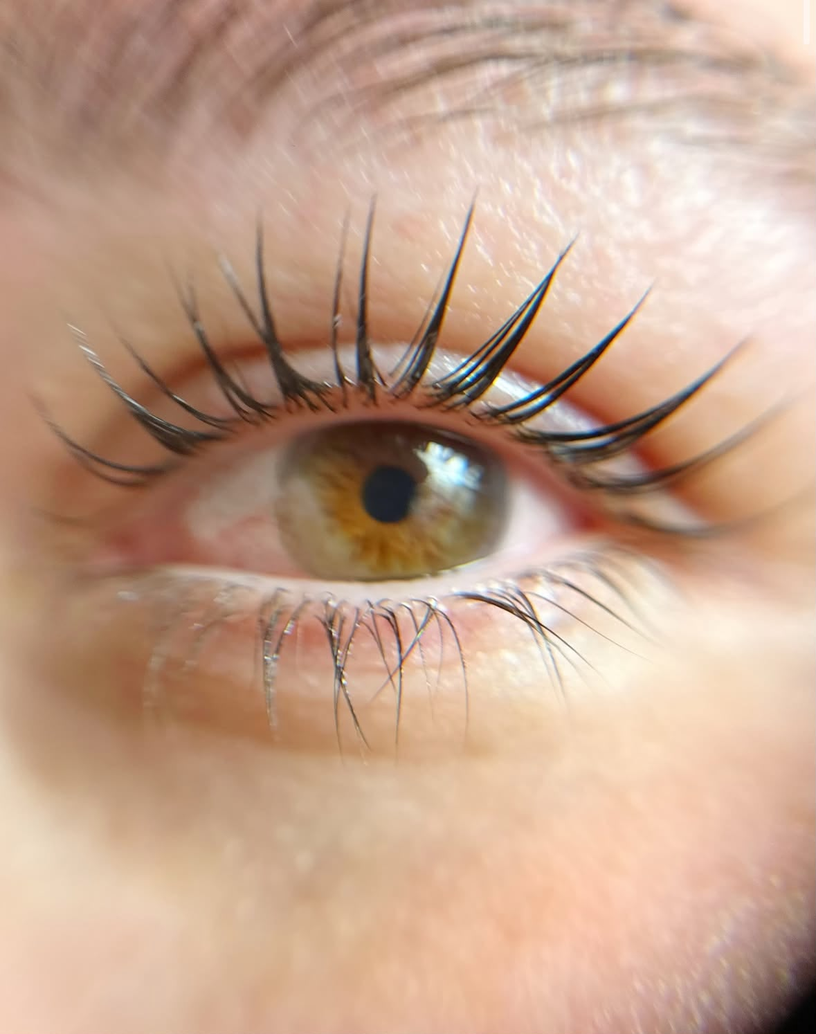 Lash Lifting